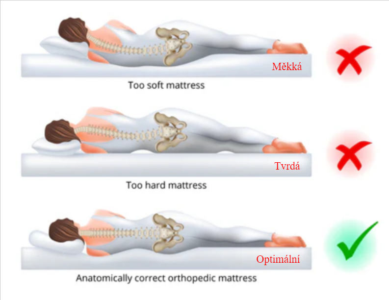 Obrázek zobrazující pozice páteře na měkké, tvrdé a optimální matraci.